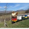Radoslav Janković, pčelar iz Rogatice: Svaka košnica rudnik zlata