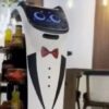 Atrakcija u BiH: Prvi roboti konobari poslužuju goste u Derventi