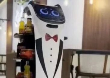 Atrakcija u BiH: Prvi roboti konobari poslužuju goste u Derventi