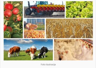 Obavještenje poljoprivrednim proizvođačima o javnom pozivu za mjere podrške