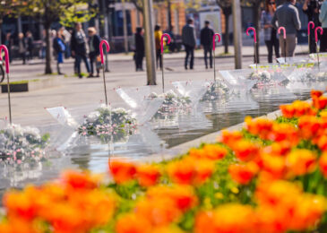 Banja Luka priprema cvjetnu čaroliju: U petak otvaranje Banjalučkog festivala cvijeća