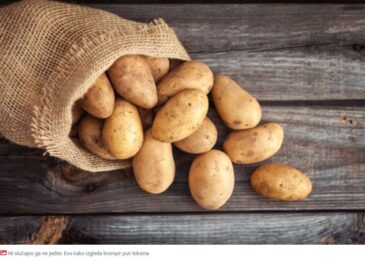 Evo kako izgleda krompir pun toksina
